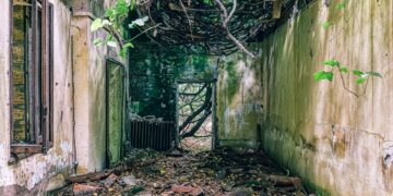 Ruiny Dworu w Mikorzycach otoczone drzewami i fosą